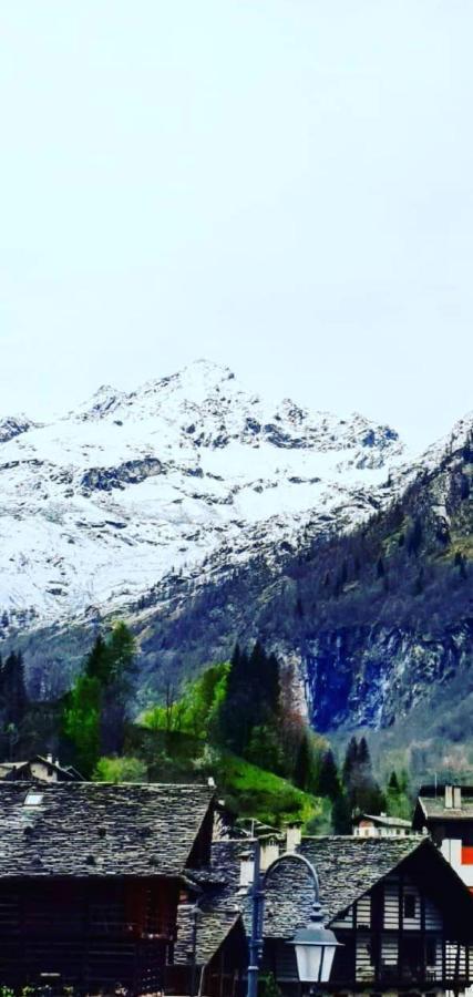 Mh Olen Boutique Alagna Valsesia
